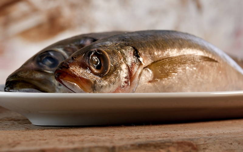 Makrelen ganze Fische 1kg